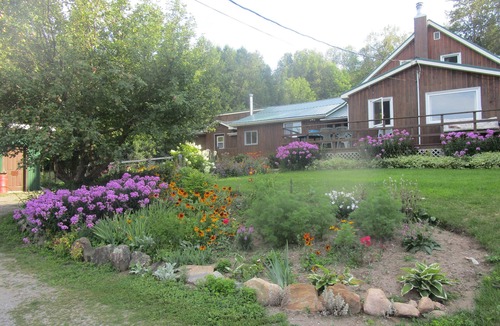 Bonnechere Valley Apartment | Foymount Farm stay with horses, Family and pet friendly