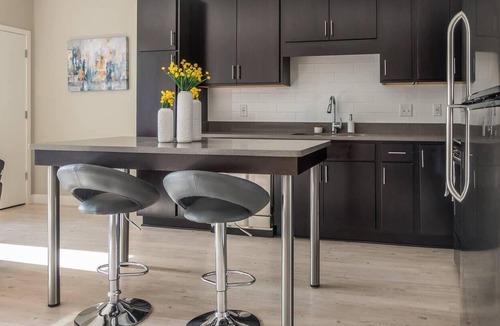 Northeast Minneapolis Apartment | Frontdesk | Sleek Minneapolis 1BR near the River