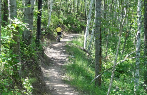 Deerwood House | Fun Family cabin on Serpent Lake 5 mins from Cuyuna Recreational Area