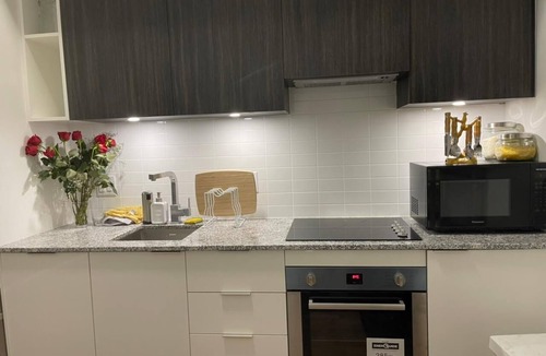 Old Town Condo | Furnished Luxury Downtown Condo, 2 Bedrooms 2 Full Washrooms and Large Balcony