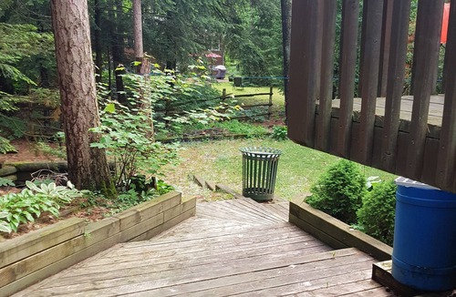 Tiny Cottage | Georgian Bay Cottage in the Pines