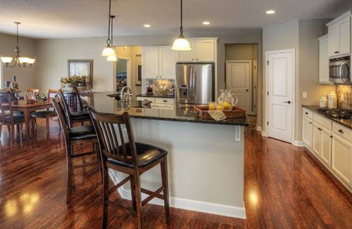 Albertville House | Gorgeous Executive Rambler - Perfect for your time in and out of Minneapolis