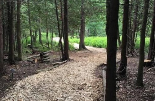 Chatsworth Cabin | Greyridge Glamping "Paradise Island " Retreatnn