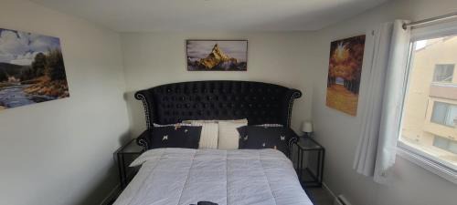 North Central Edmonton Apartment | Haven Within Reach