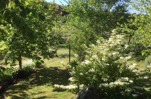 Wanaka Cottage | Hawea River Retreat. Magnificent private location,walking track at our gate.