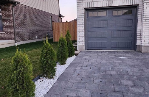 Thamesford House | Homely, cozy, spacious quiet basement apartment in a lovely neighborhood.
