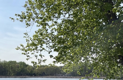 White Bear Lake House | Lake Front- dock access, kayaks, deck and grill available to use. near downtown