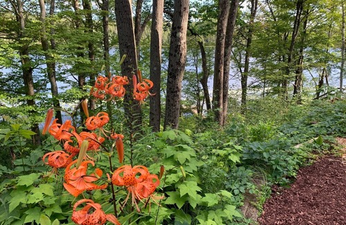 Arden House | Lakefront Chalet located on 70 private acres of Beautiful Canadian Shield