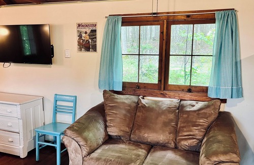 Marcell Cabin | Lakeview in the Treetops