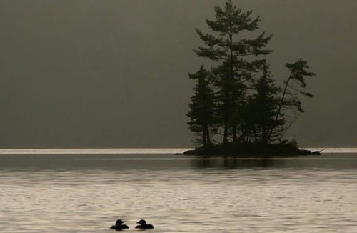 Rideau Lakes Ski Chalet | Lakewood on Opinicon Lake- Chaffey's Lock