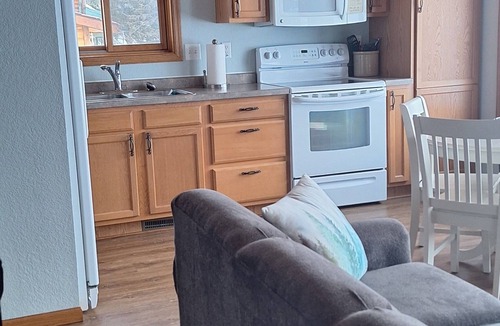 Whipholt Cabin | Leech lake cabin with gorgeous views! 2br/2ba pet friendly!