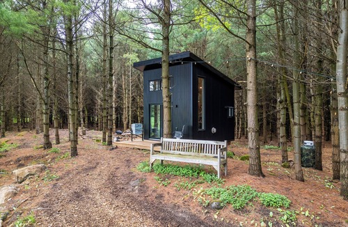 Chatsworth Cabin | Little Cabin in the Pines