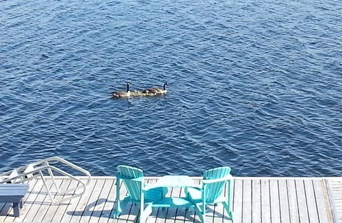 Selwyn Cottage | Live your Best Life at the Lake