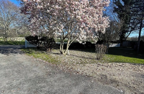 Village of East Hampton House | Location: Beautiful Farm House, Walk to Shops, Walk to Beach & Walk from Jitney!