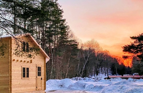 Weslemkoon Cabin | Loft Pine Cabin with Lake and Crown Land Access | Dog-Friendly