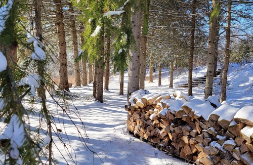 Adjala-Tosorontio Cabin | Log cabin near Hockley Valley