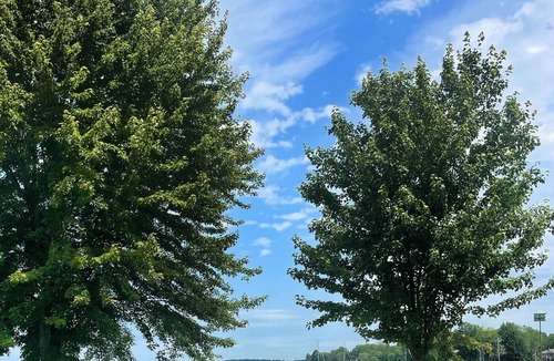 Orillia Cottage | Luxurious all season Lake Couchiching waterfront cottage