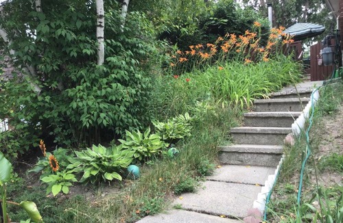 Ottawa Division House | Mariya Studio