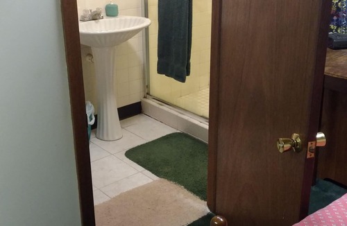 Minneapolis House | Master suite in basement of single family home.