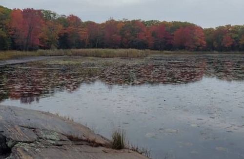 The Archipelago Cabin | McLaren Island Vacation Cottage