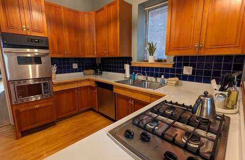 Downtown - Waterfront Condo | Mesaba 3 Lake View | Historic Condo