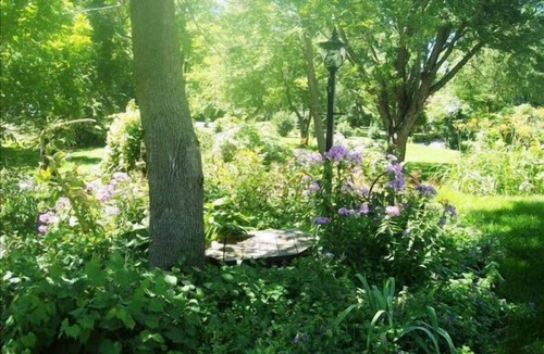 Minnetonka House | Minnetonka Secluded Cul-de-Sac 6 mi. to Mpls.-Gorgeous Acre near I-494 & I-394