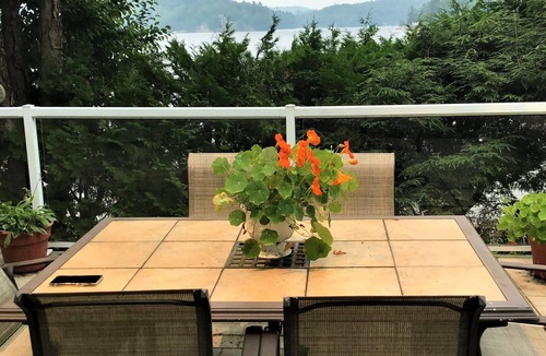Dorset Cottage | MUSKOKA PAINT LAKE, priceless views