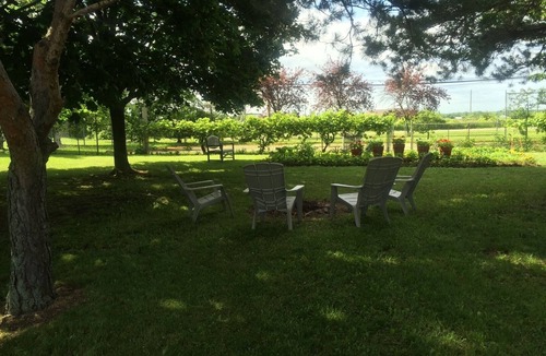 Louth Cottage | Oak Lane Cottage, Country Setting on Wine Route, Easy Access to NOTL