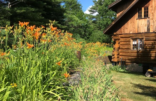 Horton Cabin | Off Grid Cabin sleeps 2 comfortably and additional 2 on futon.