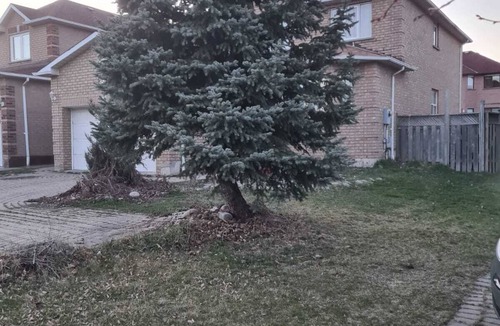 Hurontario House | One Bedroom Suite Basement Apartment with private Toilet