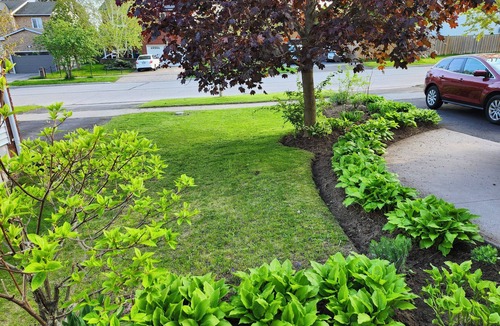 Cobourg House | Pacho place-nSelf contained basement apartment. Close to all amenities and 401.n
