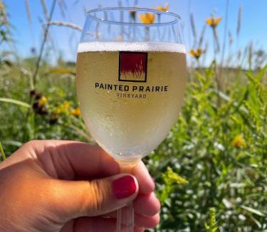 Currie Other | Painted Prairie - Vineyard Hause
