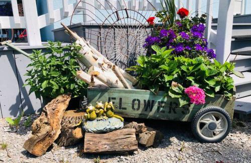 Victoria Road House | Peaceful Waterfront Cottage on Kawartha Lakes