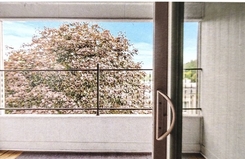 Rochester Condo | Penthouse Style Condo