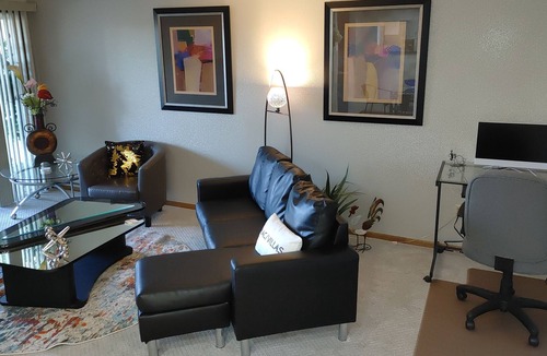 Rochester Condo | Penthouse Style Condo