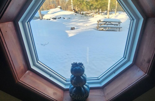 Havelock-Belmont-Methuen Cottage | Perfect Escape from the city, recharge and connect with nature!