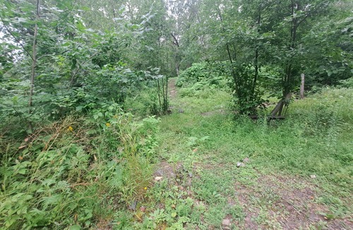 Duluth House | Primitive 2-bedroom 2 double bed popup quiet country setting on the cities edge