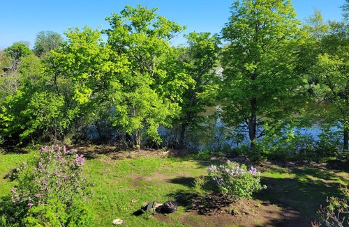 Prince Edward Cottage | Prince Edward County Pond-Side Getaway! Family-friendly private oasis!
