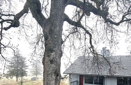 Stallion Springs Cottage | Private cottage quiet & peaceful at Stallion Springs