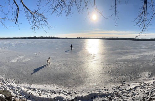 Puslinch Cottage | Private Island on Puslinch Lake