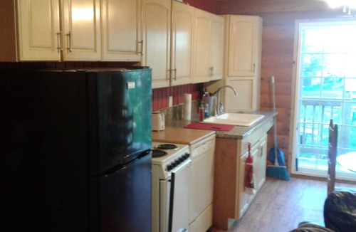 Cloquet Cabin | Private lake full of fish, bonfire pit, dock, boat ramp, WIFI Dogs Welcome