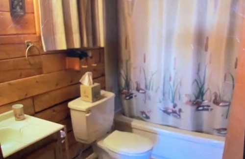 North Frontenac Cabin | Quaint Lakefront cottage on Big Gull Lake. Great fishing and swimming!