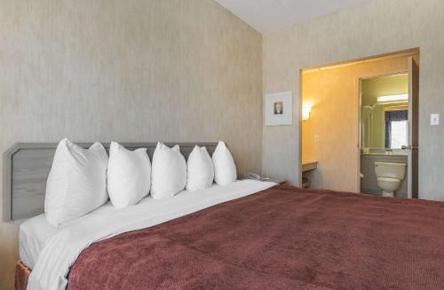 Whitby Hotel | Quality Suites
