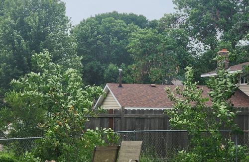 Cottage Grove House | Queer Friendly Home/Be Yourself/All Are Welcome Here