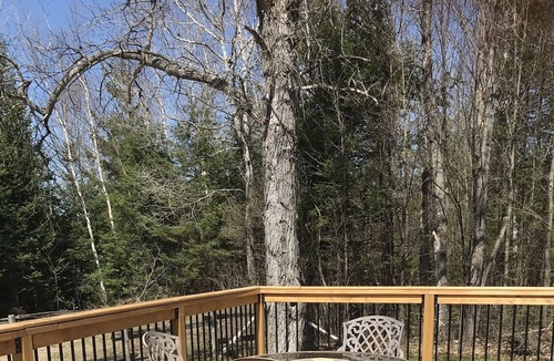 Faraday Cottage | Quiet cozy cottage tucked in a private wooded setting