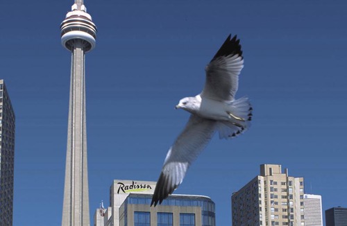 Central Waterfront Hotel | Radisson Blu Toronto Downtown