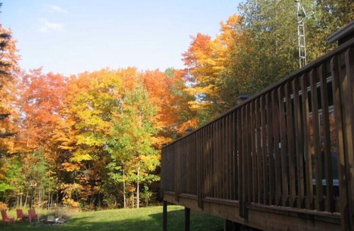 Wollaston Cottage | Relax & Enjoy Nature at the Cottage in the Woods
