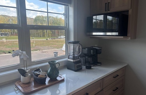 Duluth House | RiverWest Sunrise View - Brand new river view - Dog friendly- Sauna