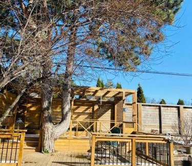 Mississauga House | Riverwood Home