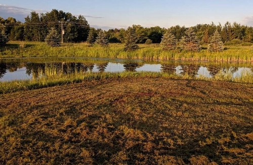 Finlayson House | Rustic Log Lodge Secluded acres with private lake & pond